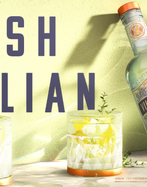 Villa Ascenti Gin (70cl, 41%)